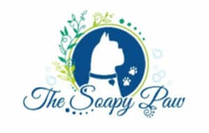 The-soapy-paw