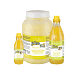 GINGER & ELDERBERRY (Zenzero Sambuca) SHAMPOO