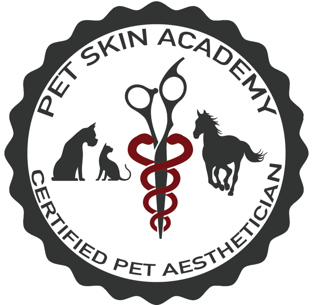 Photo inspiration: Gallery Detail: Certified Pet Aesthetician Program Expert Grooming Training