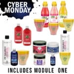 Cyber Friday All in One Package with Module 1