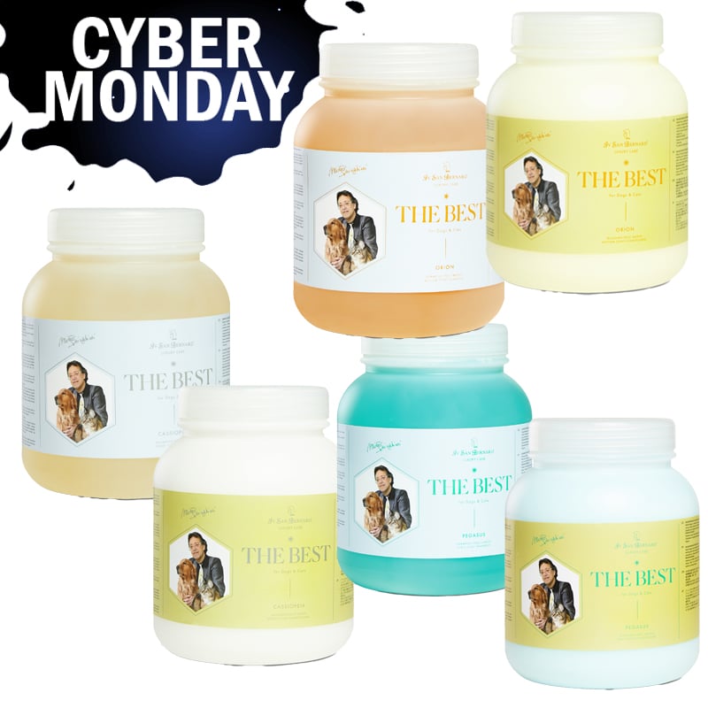 salonbestline copy Cyber Week 2024 "THE BEST" Salon Package (Short/Medium/Long) - Image 1