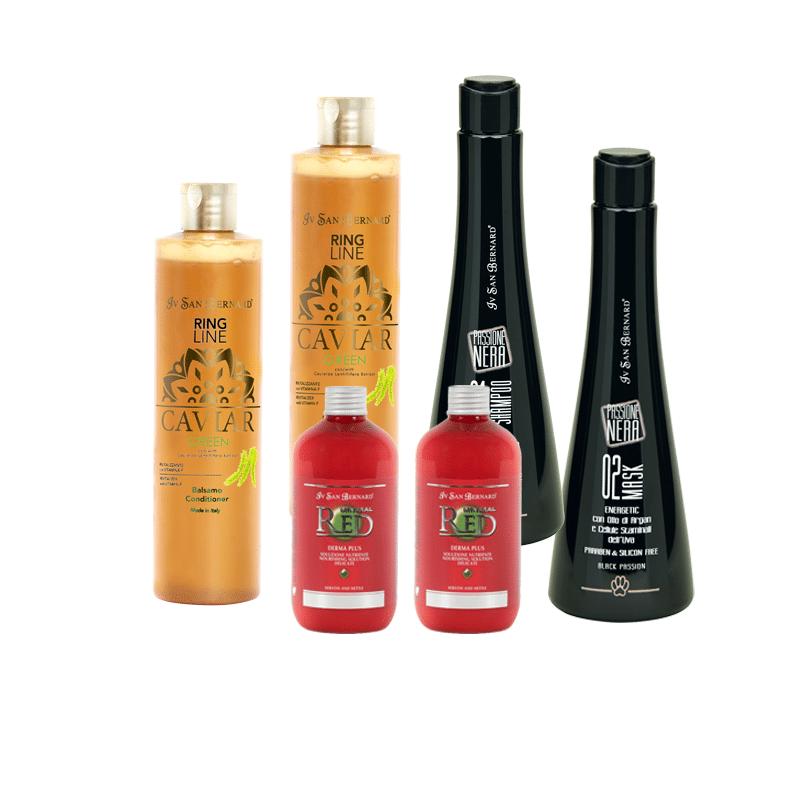 93830628-4010-4e45-8672-e1435776879e.png Luxury Starter Bundle - Image 1