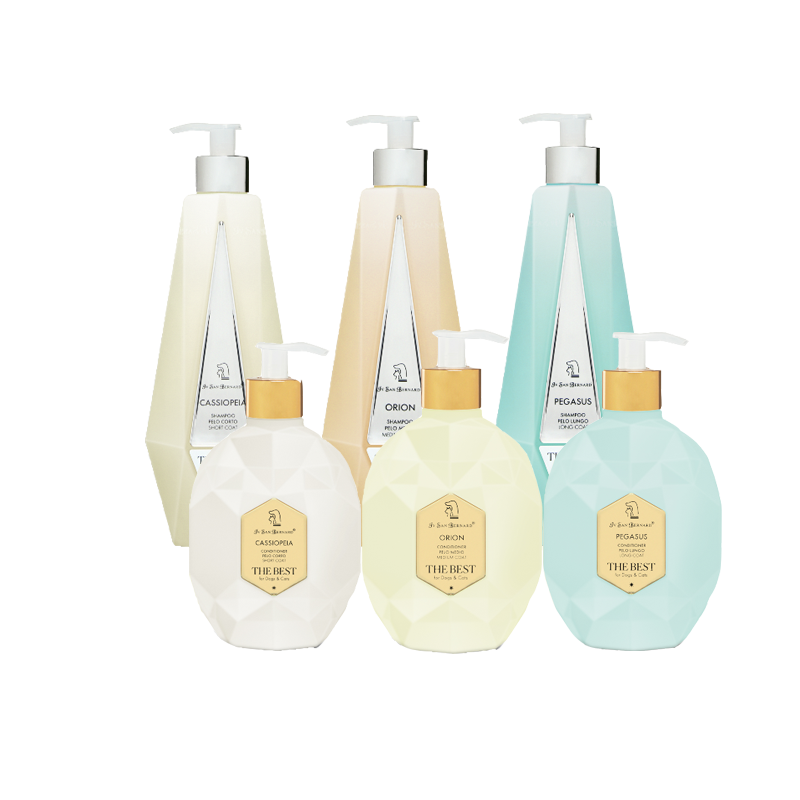 e9e9b5d7-362b-4026-91d2-402fa62a18dc.png The Best Line Starter Bundle - Image 1